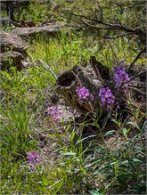 43-Vedauwoo2023