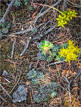 45-Vedauwoo2023