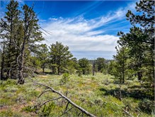 46-Vedauwoo2023
