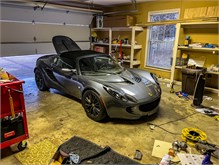 Lotus-work-1