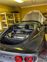 Lotus-work-8