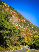02-Little-Cottonwood