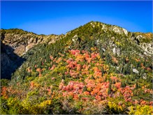 04-Little-Cottonwood