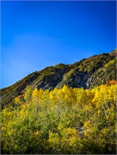 08-Little-Cottonwood