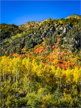 09-Little-Cottonwood