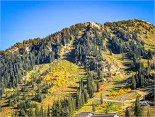 12-Little-Cottonwood