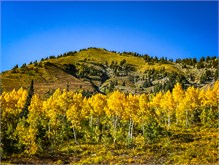 13-Little-Cottonwood