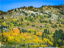 14-Little-Cottonwood