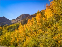 17-Little-Cottonwood