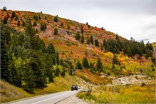 01-Big_Cottonwood