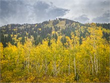 03-Big_Cottonwood