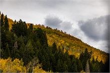 06-Big_Cottonwood