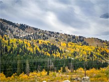 07-Big_Cottonwood