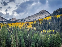 08-Big_Cottonwood
