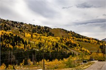 10-Big_Cottonwood