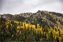 11-Big_Cottonwood