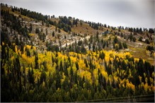 12-Big_Cottonwood