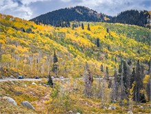 15-Big_Cottonwood