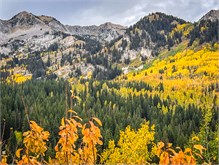 18-Big_Cottonwood