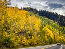 20-Big_Cottonwood