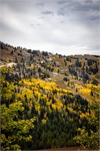 21-Big_Cottonwood