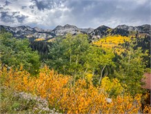 24-Big_Cottonwood