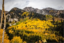 25-Big_Cottonwood