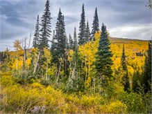 26-Big_Cottonwood