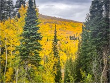 27-Big_Cottonwood