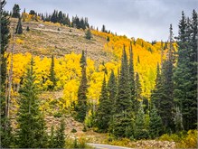 30-Big_Cottonwood