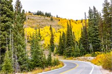 31-Big_Cottonwood