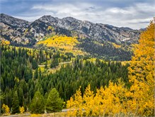 32-Big_Cottonwood