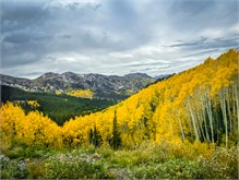 34-Big_Cottonwood