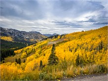 35-Big_Cottonwood