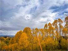 41-Big_Cottonwood