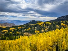 43-Big_Cottonwood