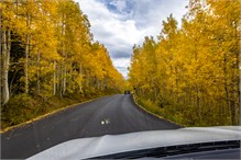 48-Big_Cottonwood