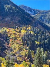 03-Little_Cottonwood_10082023