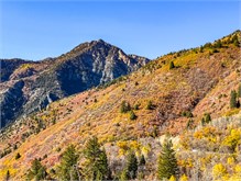 22-Provo-Canyon