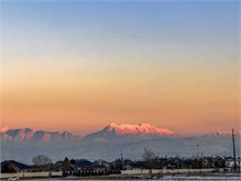 IMG_0379