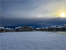 IMG_9629