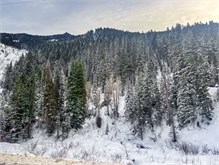 02-Big-Cottonwood-Snow
