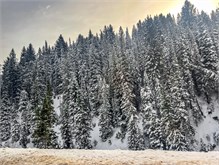 04-Big-Cottonwood-Snow