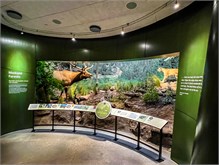 05-Natl-History-Museum