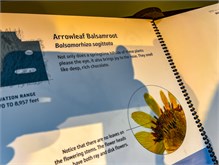 06-Natl-History-Museum