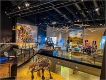 07-Natl-History-Museum