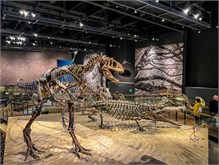 08-Natl-History-Museum