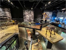 09-Natl-History-Museum
