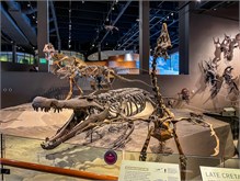 12-Natl-History-Museum