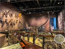 13-Natl-History-Museum